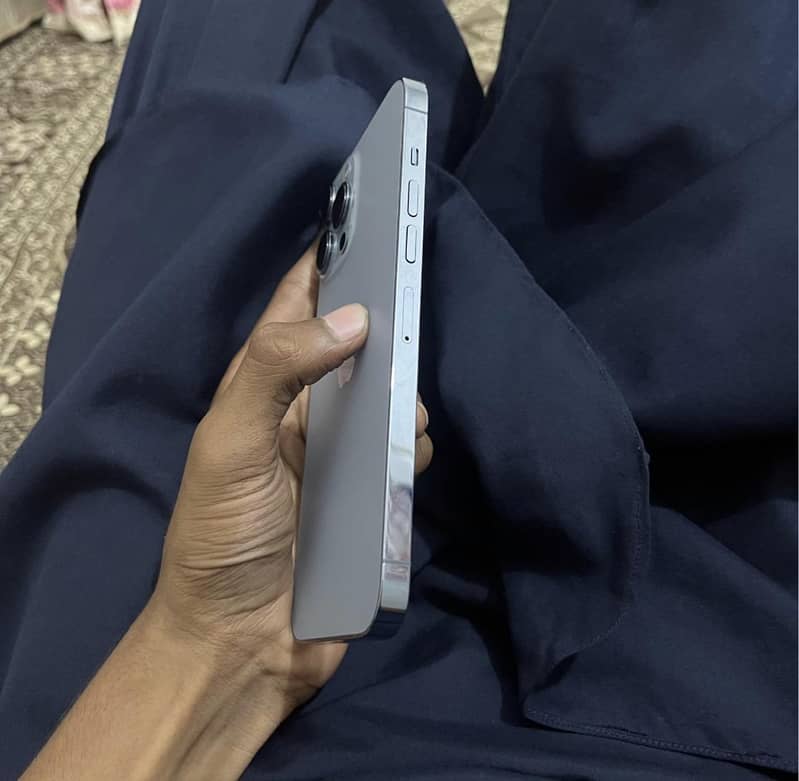 Apple iPhone 13 Pro Max 1