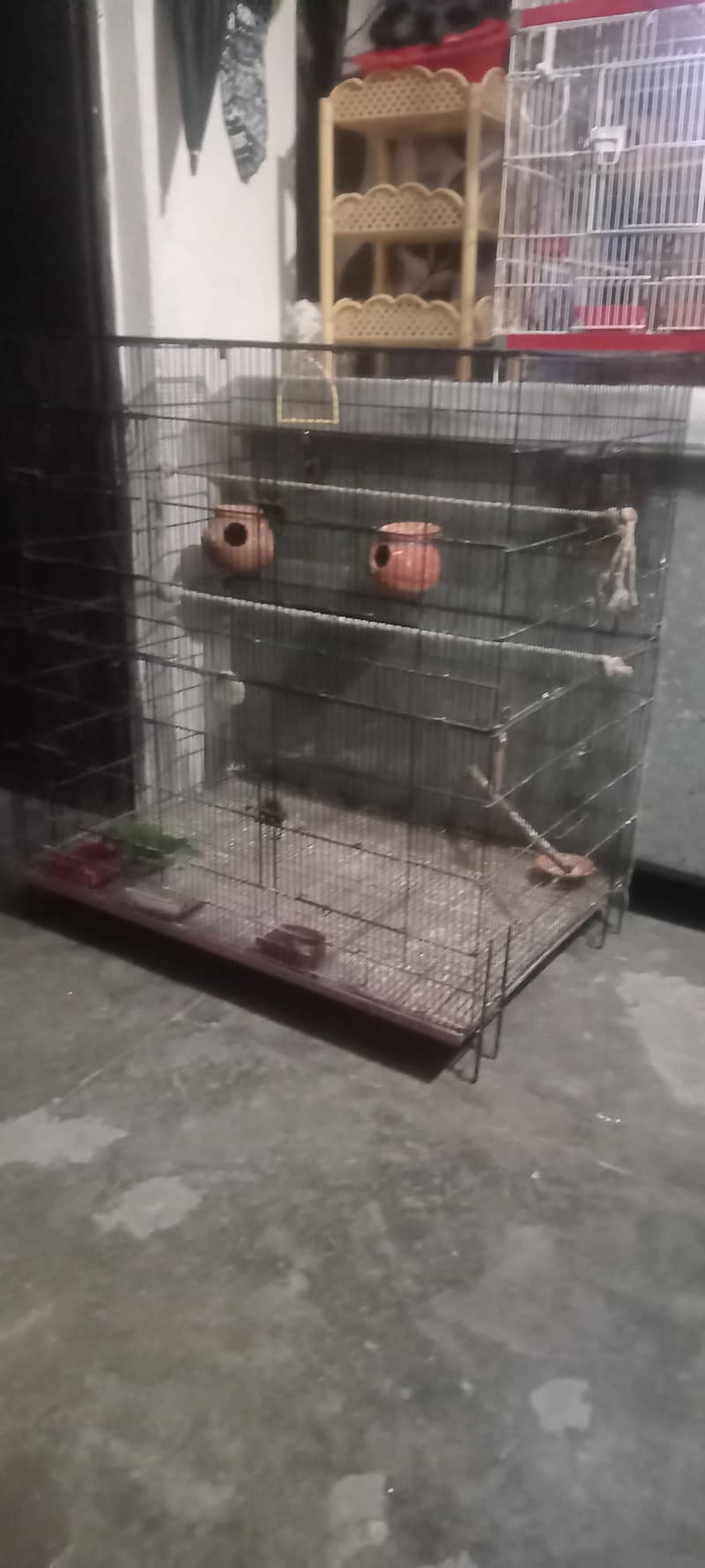 master cage folding 0