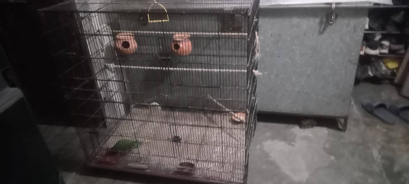 master cage folding 1