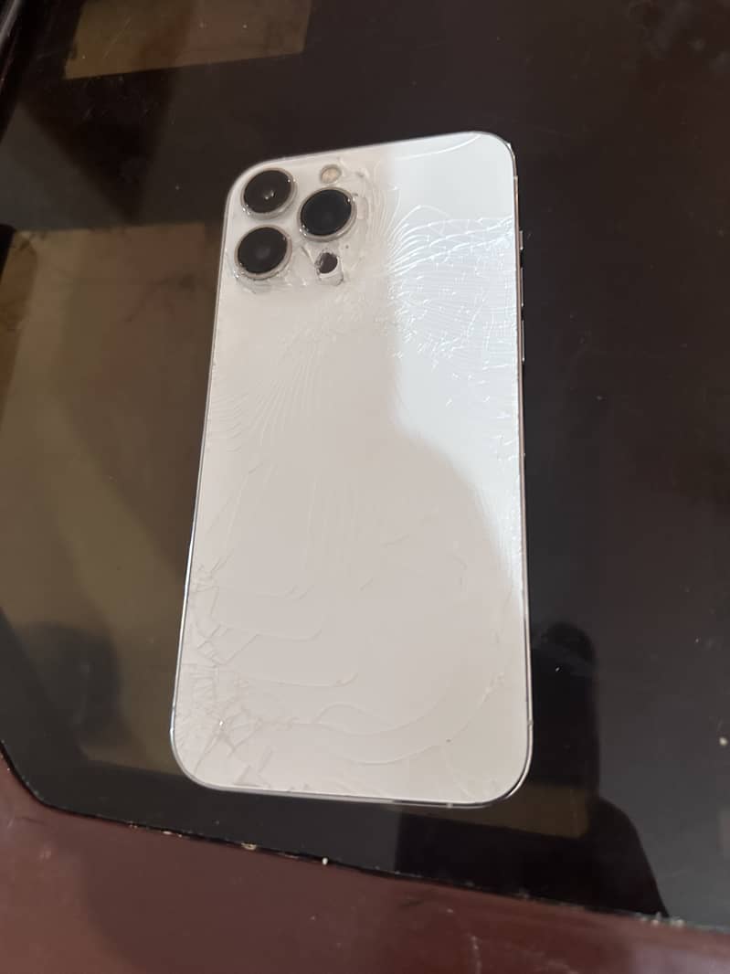 Apple iPhone 13 Pro Max 1
