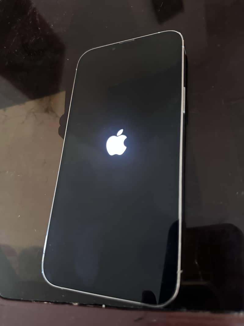 Apple iPhone 13 Pro Max 2