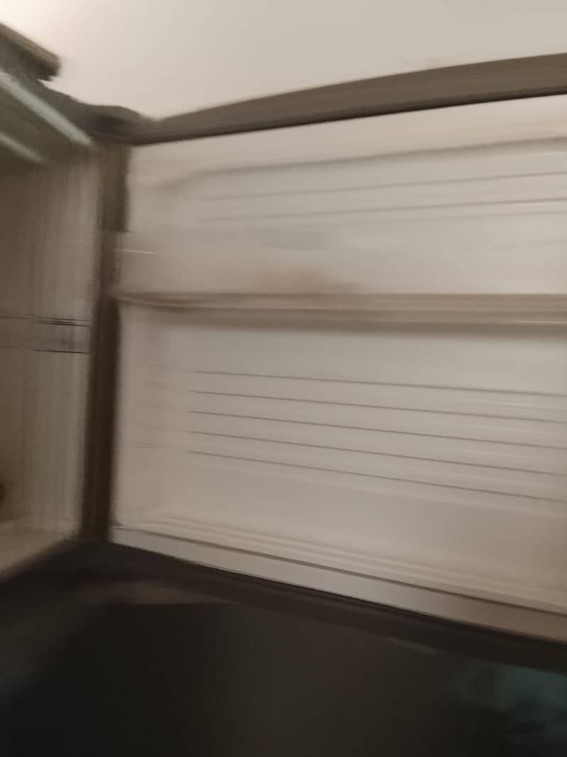 fridge 2