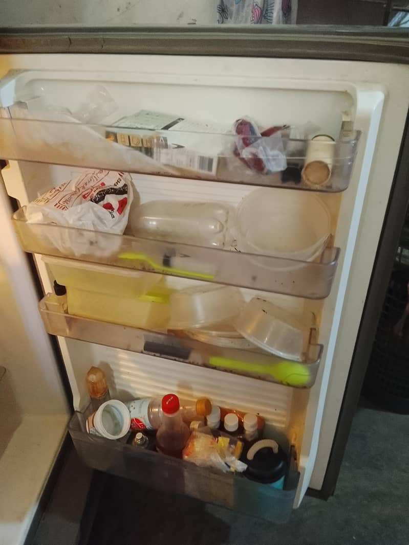 fridge 3