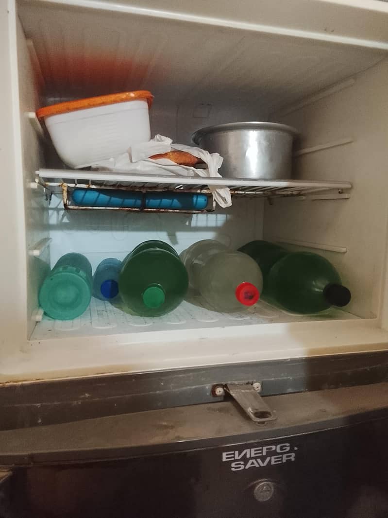 fridge 4