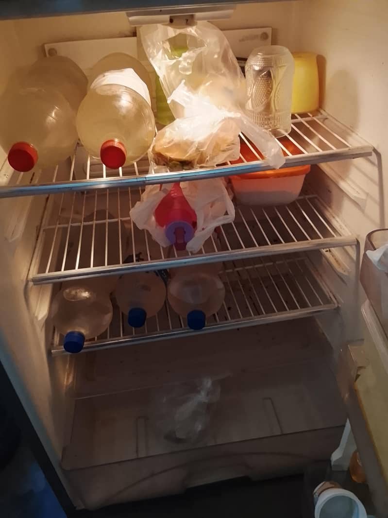 fridge 5