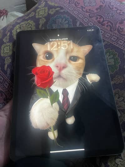 Ipad m1