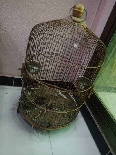 raw parrot cage