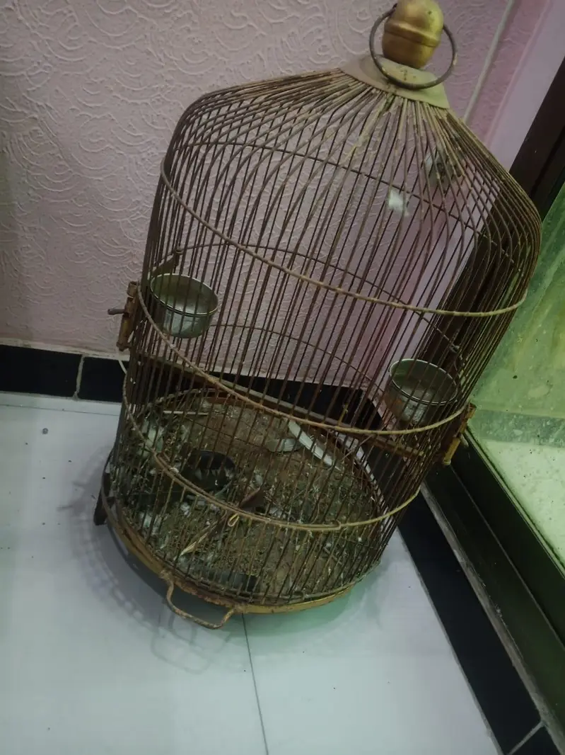 raw parrot cage — photo 2