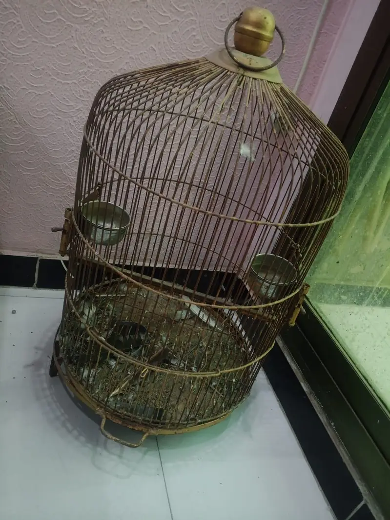 raw parrot cage — photo 3