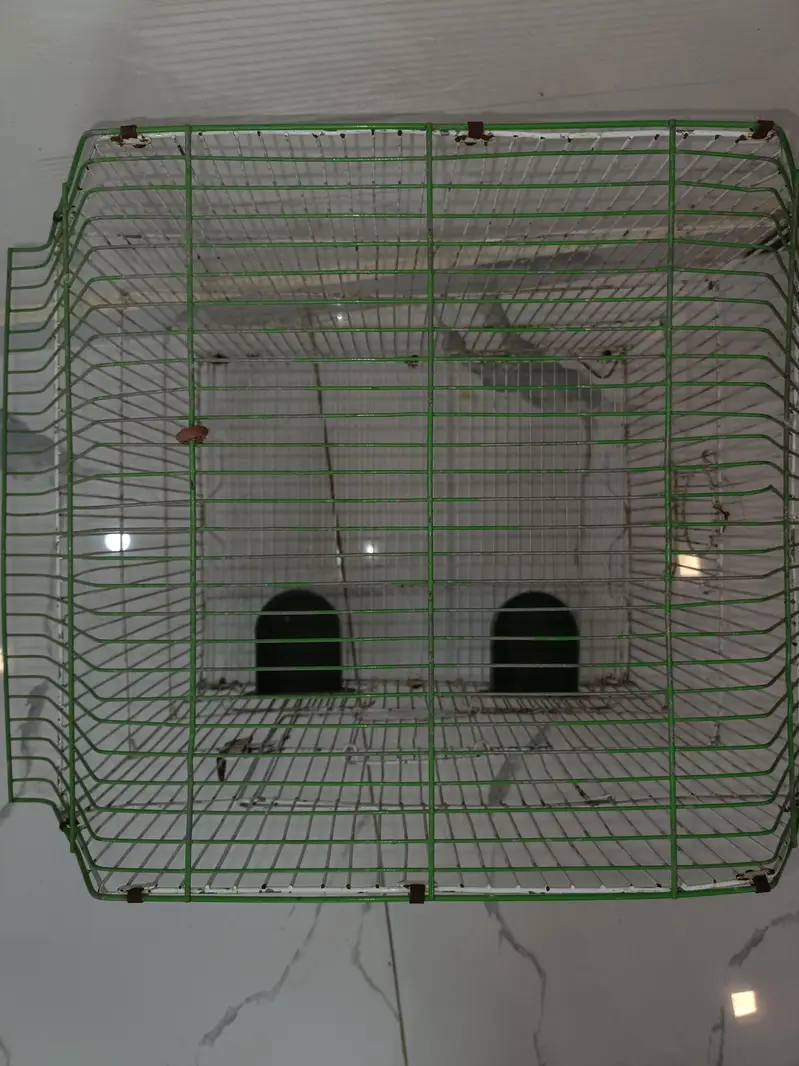 cages — photo 3