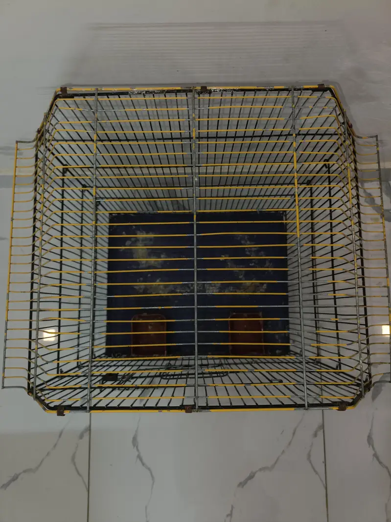cages — photo 7