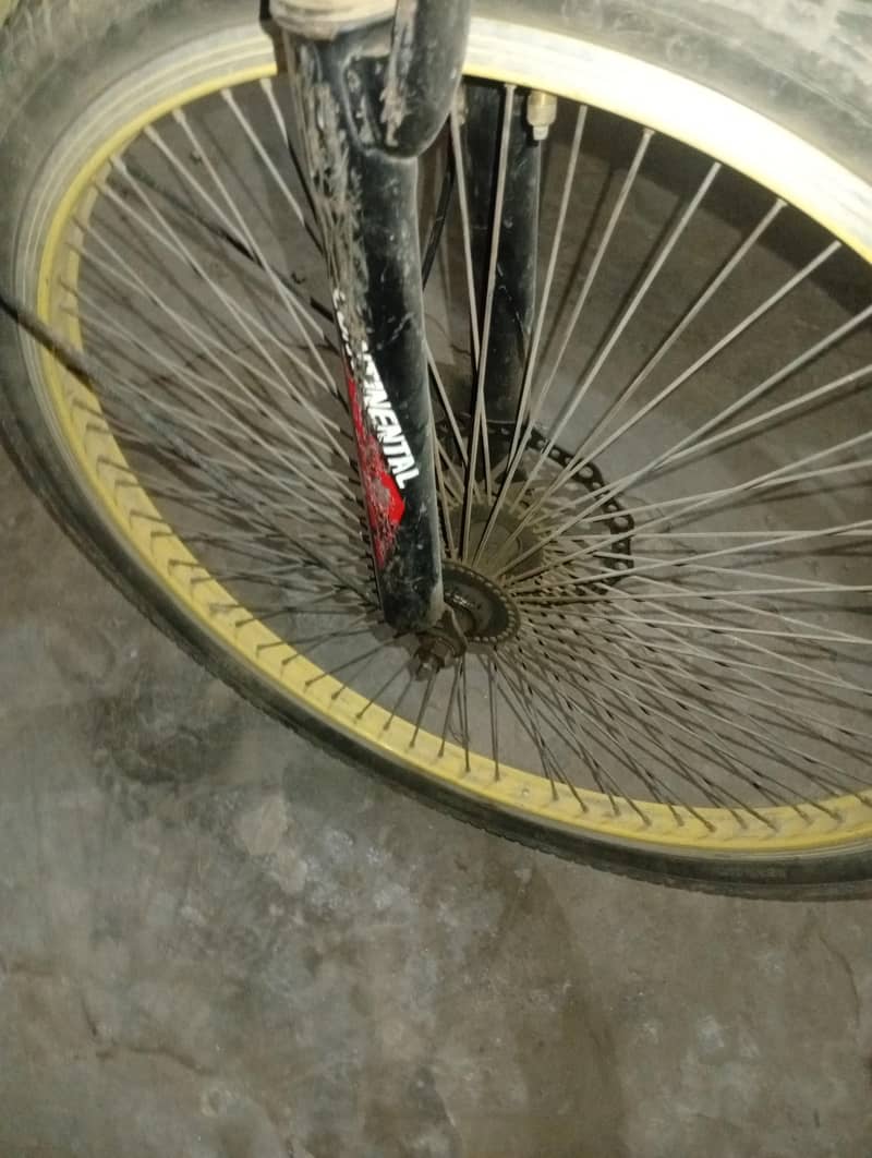 CYCLE 5