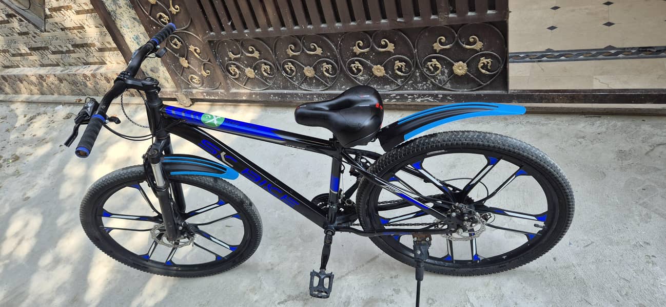 Bicycle 1