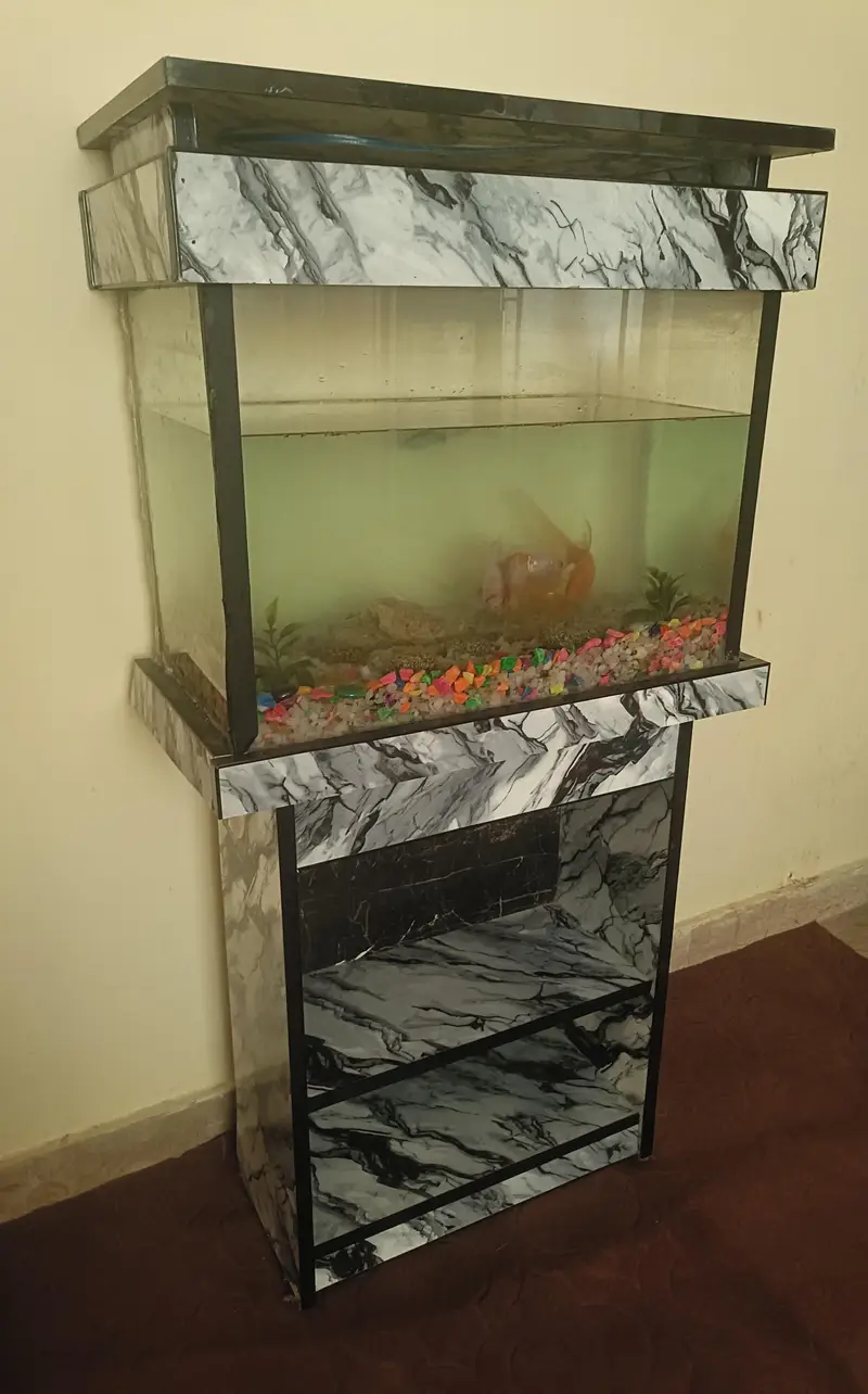 Complete Aquarium Setup with 8 Fish, Stand, Filter & Accessories — photo 2