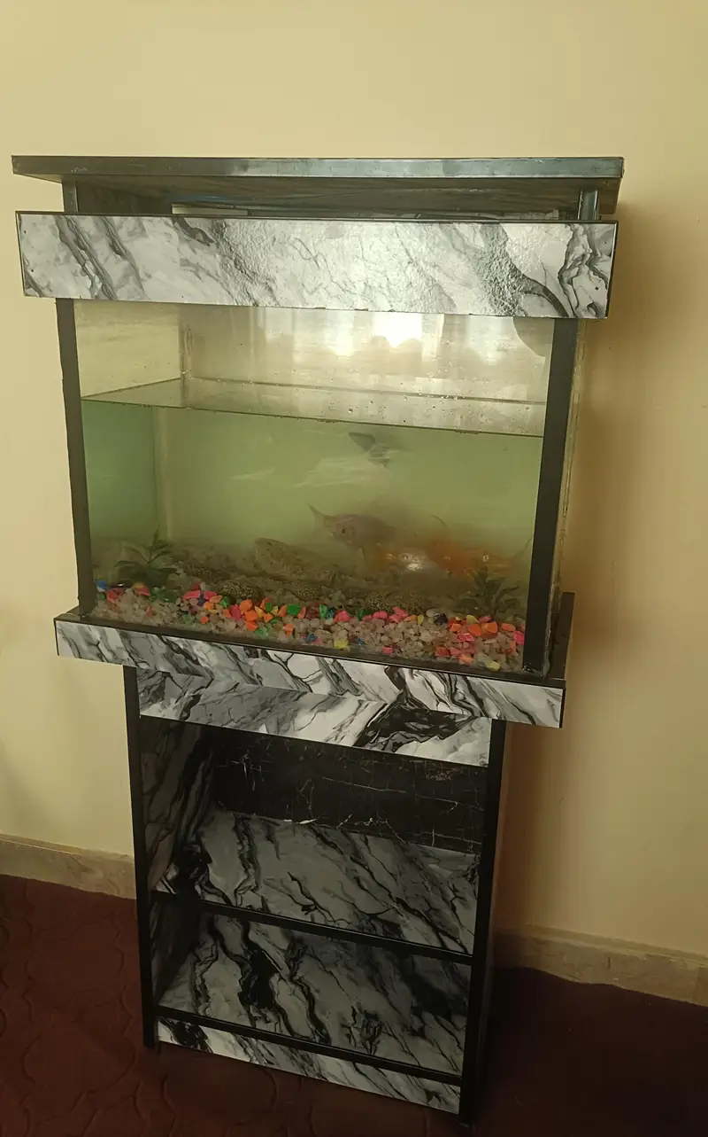 Complete Aquarium Setup with 8 Fish, Stand, Filter & Accessories — photo 3
