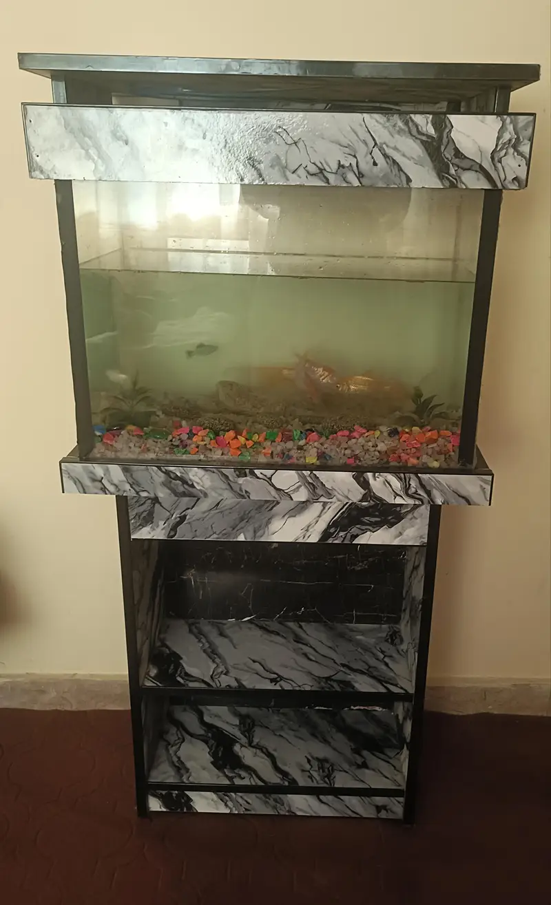 Complete Aquarium Setup with 8 Fish, Stand, Filter & Accessories — photo 4