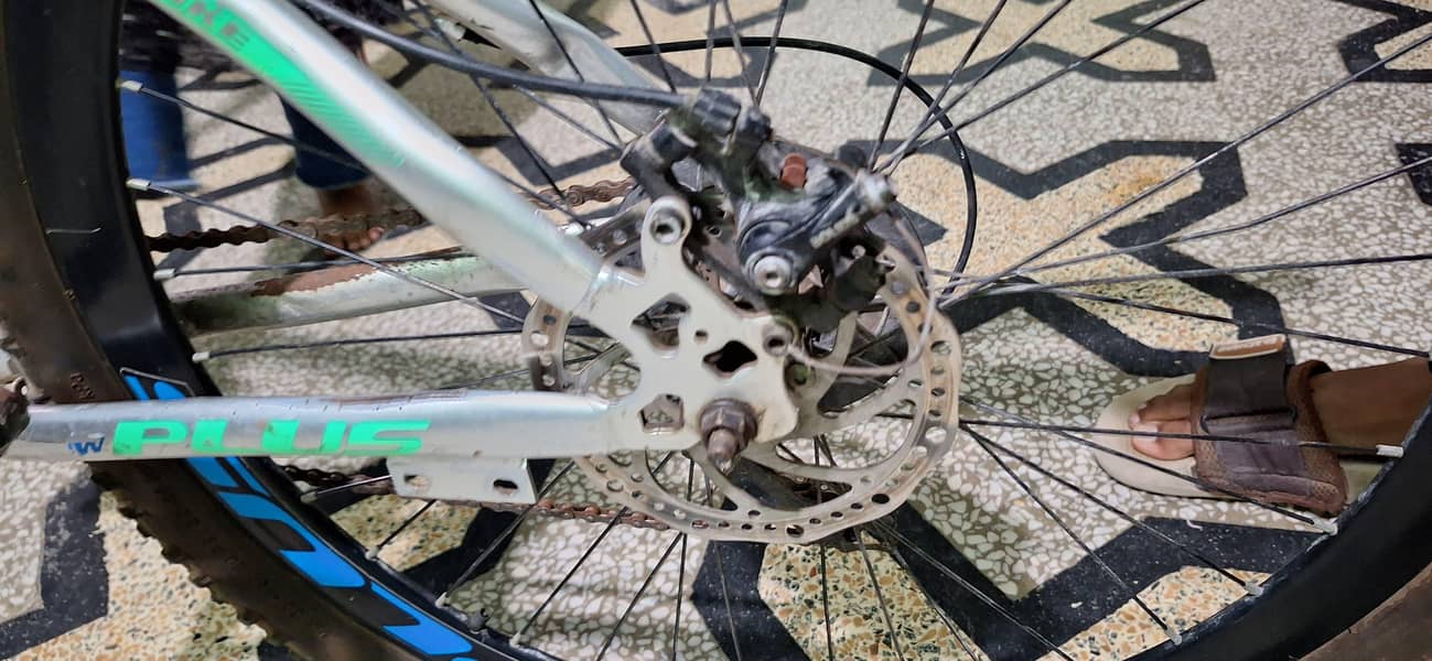 New plus cycle 1