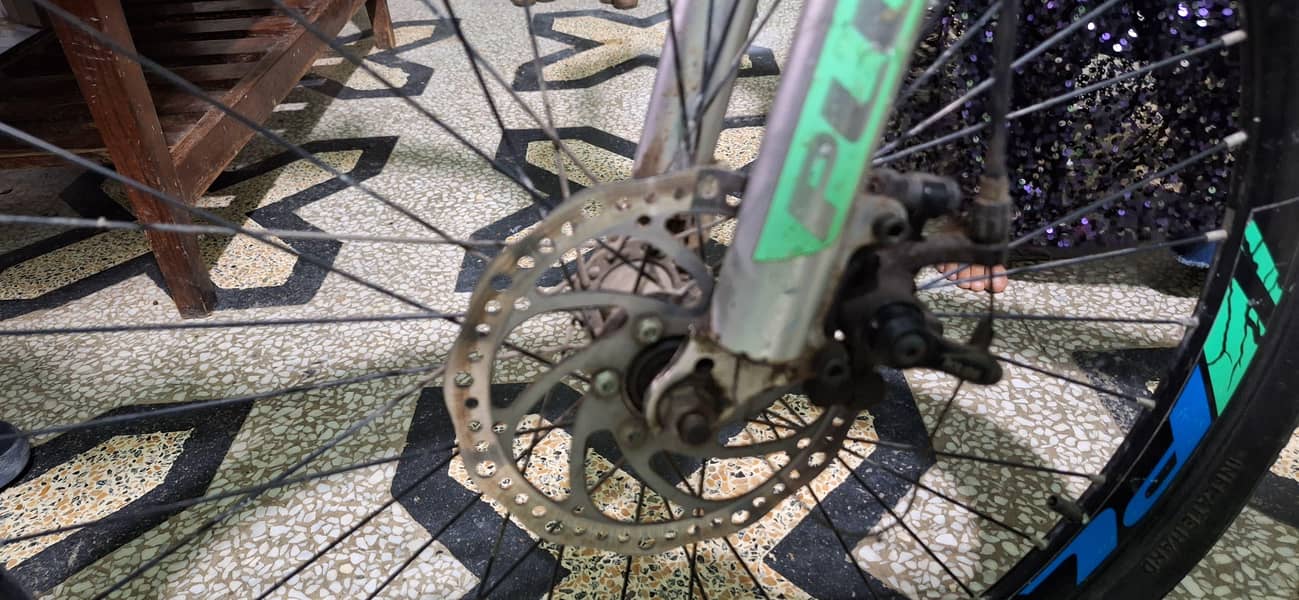 New plus cycle 4