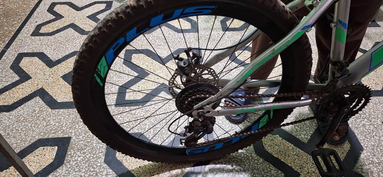 New plus cycle 6