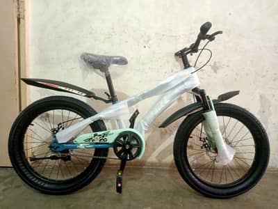 20 SIZE IMPORTANT BICYCLE URGENT SALE