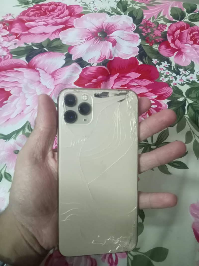 Apple iPhone 11 Pro Max 0