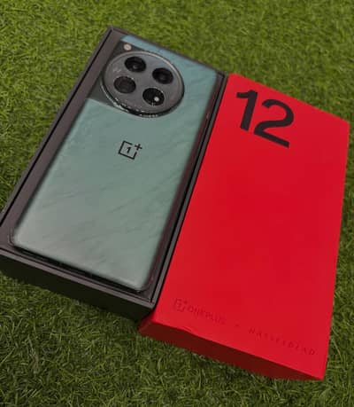 One Plus 12 Official PTA 10/10 Condition