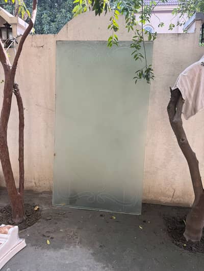 Glass shower door