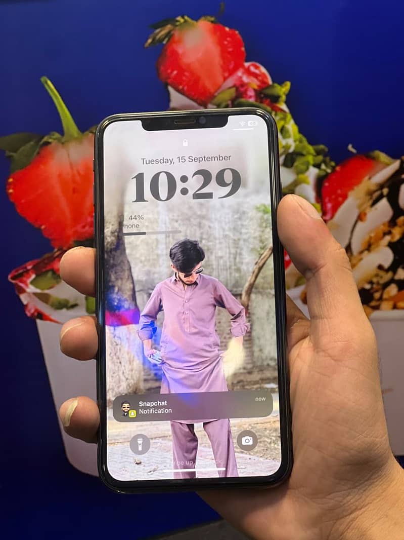 Apple iPhone XS Max 1
