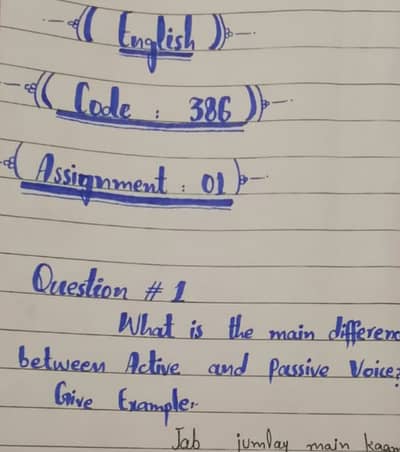 AIOU assignment service