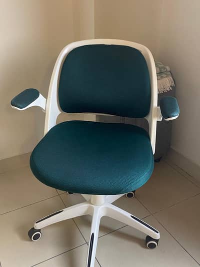 Interwood Office | Study Chair – DHA 2 Islamabad
