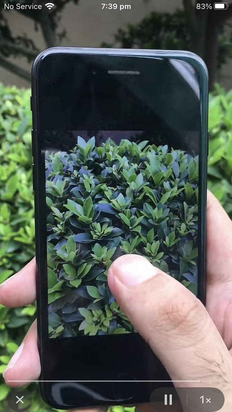 Apple iPhone 7 1