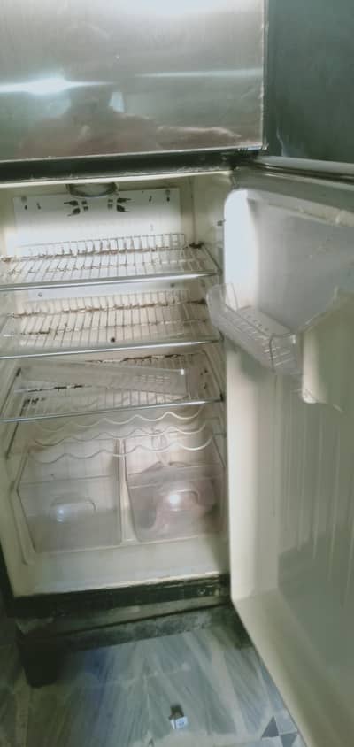 frige
