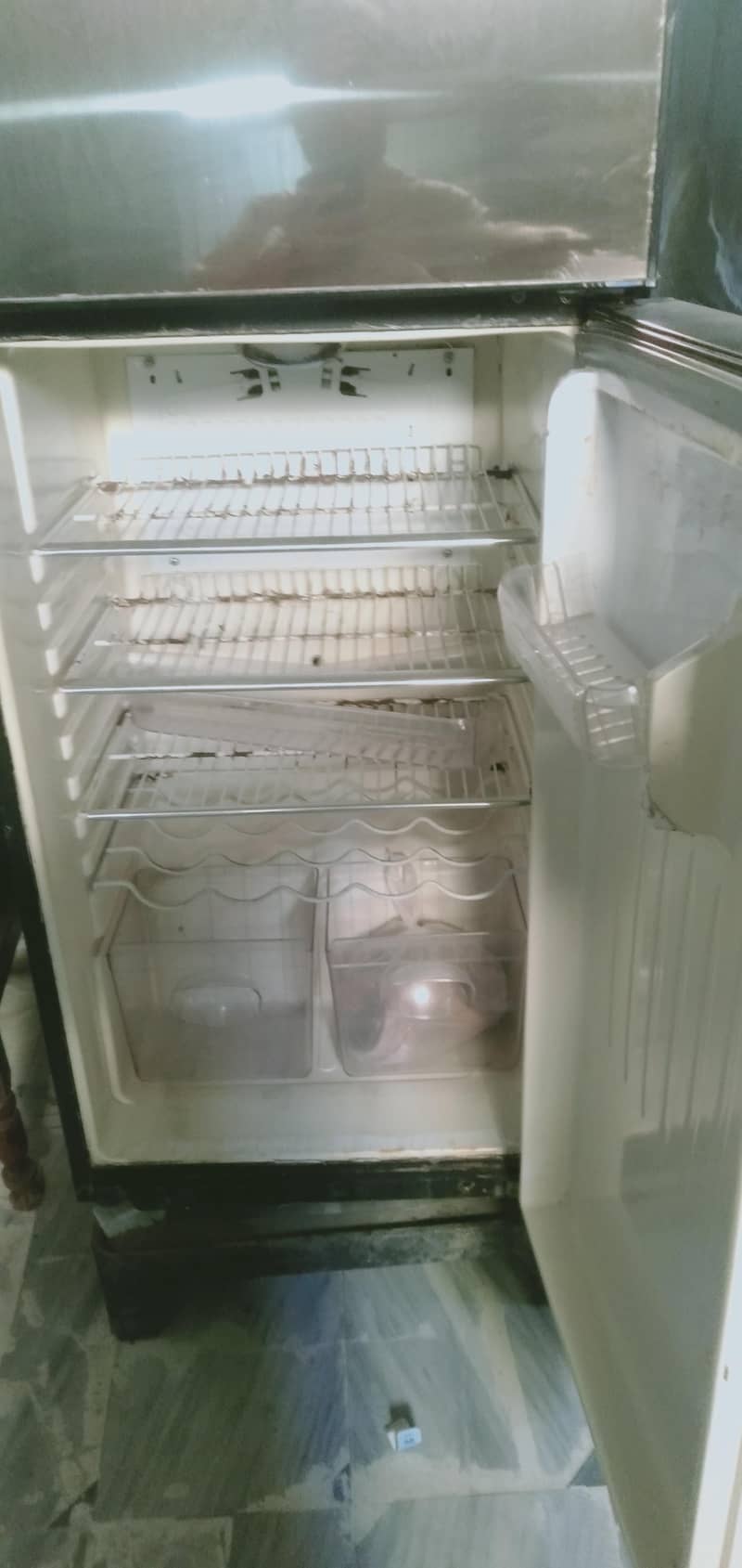 frige 1