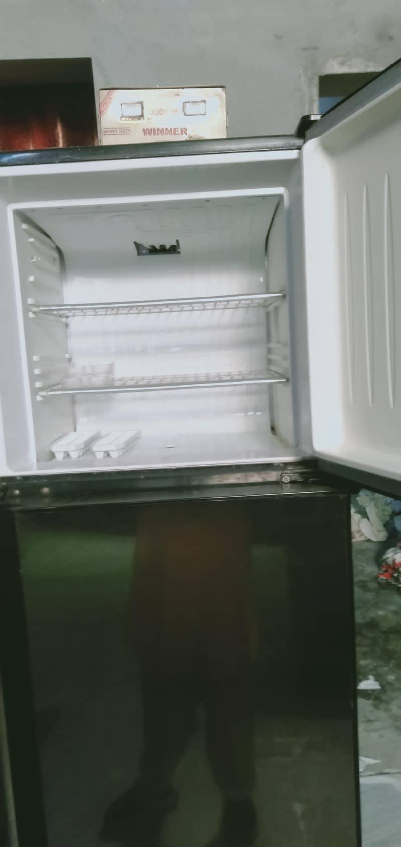 frige 2