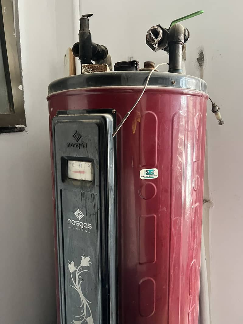 Nasgas EGeyser 2