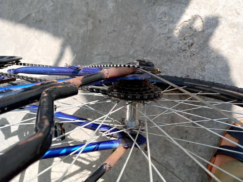 Humber cycle 2