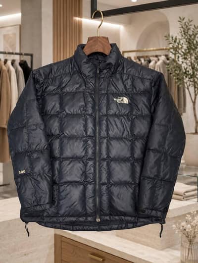 The north face face feather  jackets
