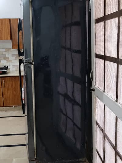 PEL Arctic+ Double Door Fridge for Sale – Compressor Fault