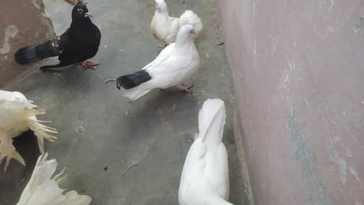pair and other