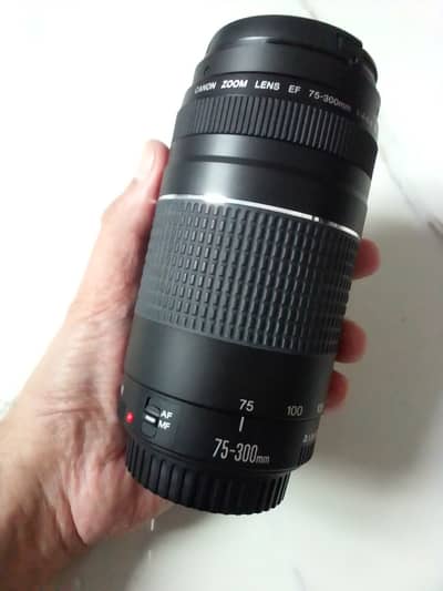 Canon Zoom Lens EF 75-300mm 1:4-5.6 iii