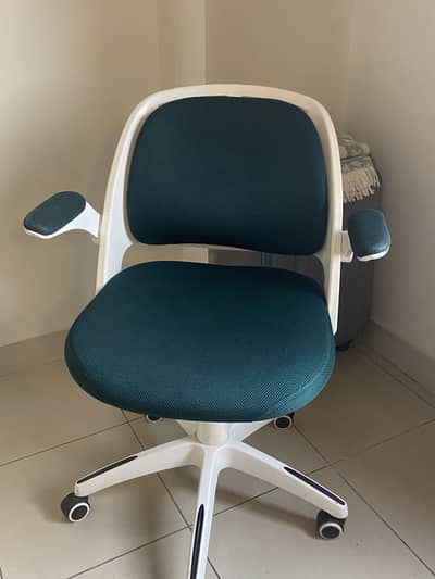 Premium Revolving Office Chair – Retractable Arms – Metal Body – Green