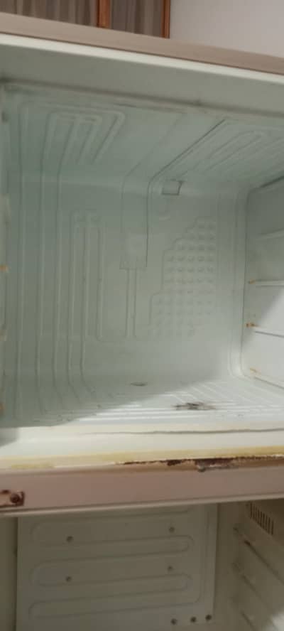 selling the fridge