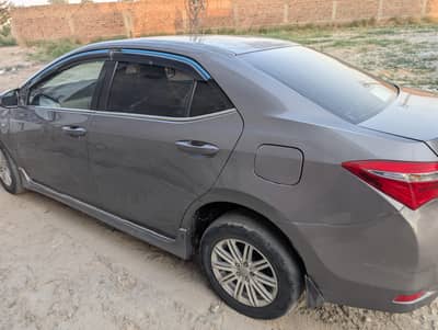 2015 Gli _ Grey