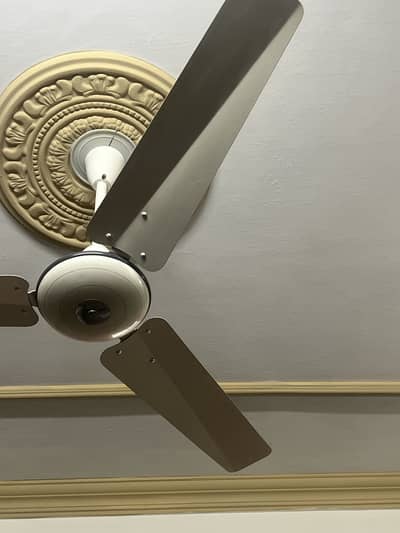 Pak fan