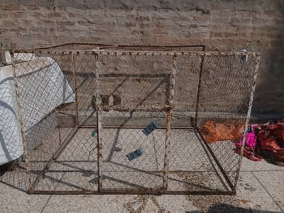 big cage for hens and cocks with small cage too