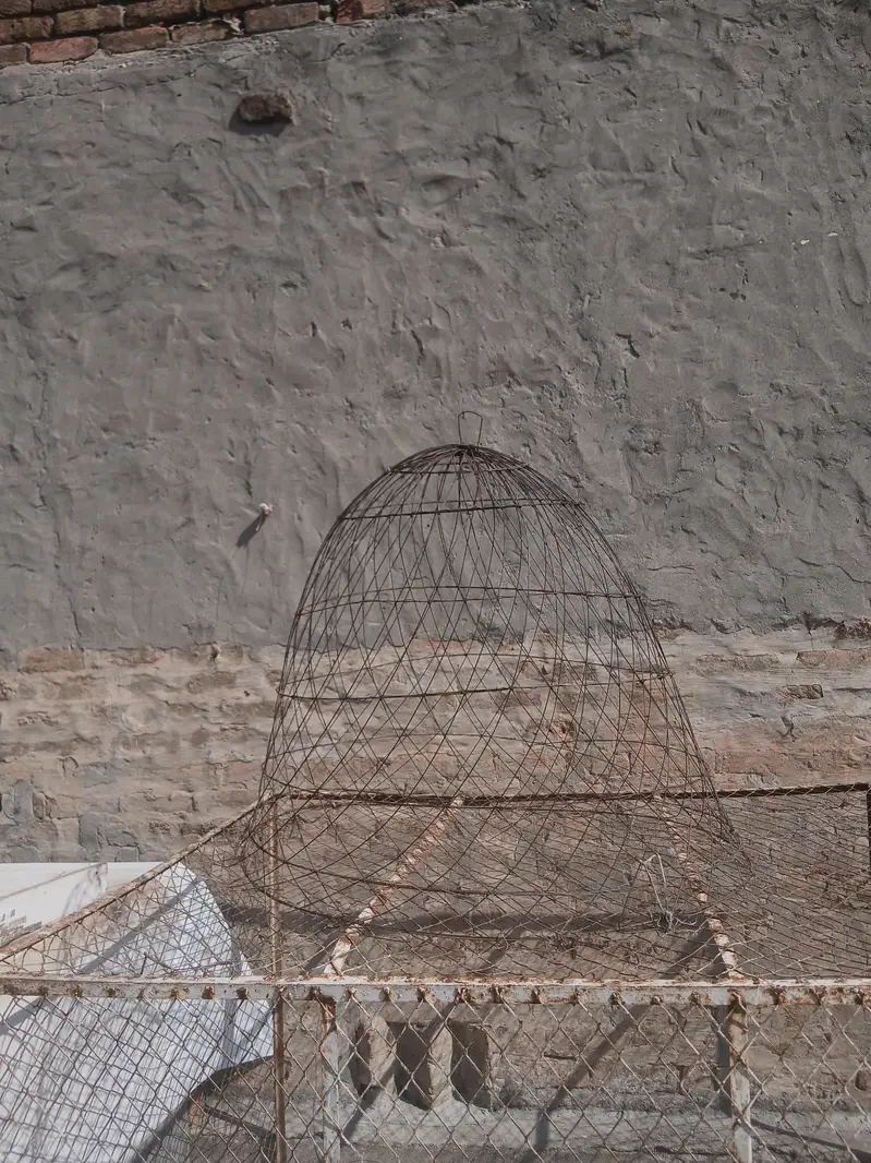 big cage for hens and cocks with small cage too — photo 3