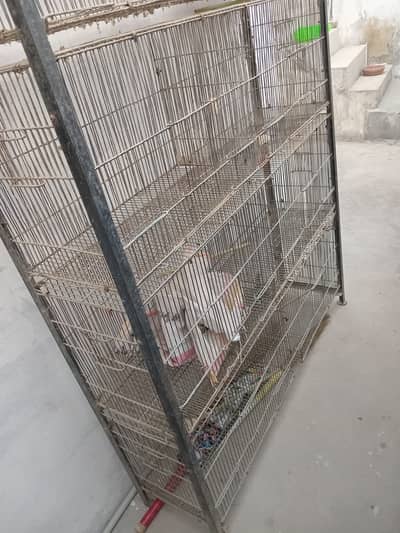 Birds Cage