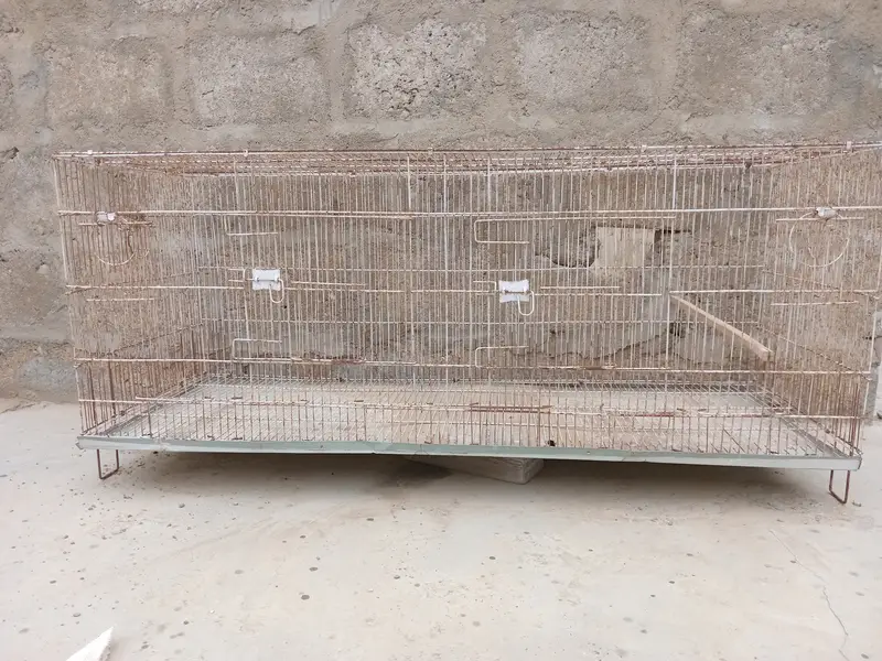 Birds Cage — photo 6
