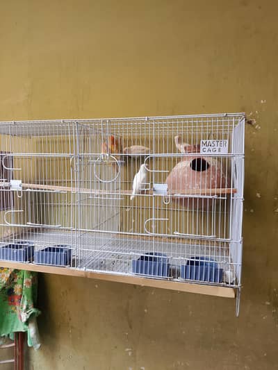 only cage for sale