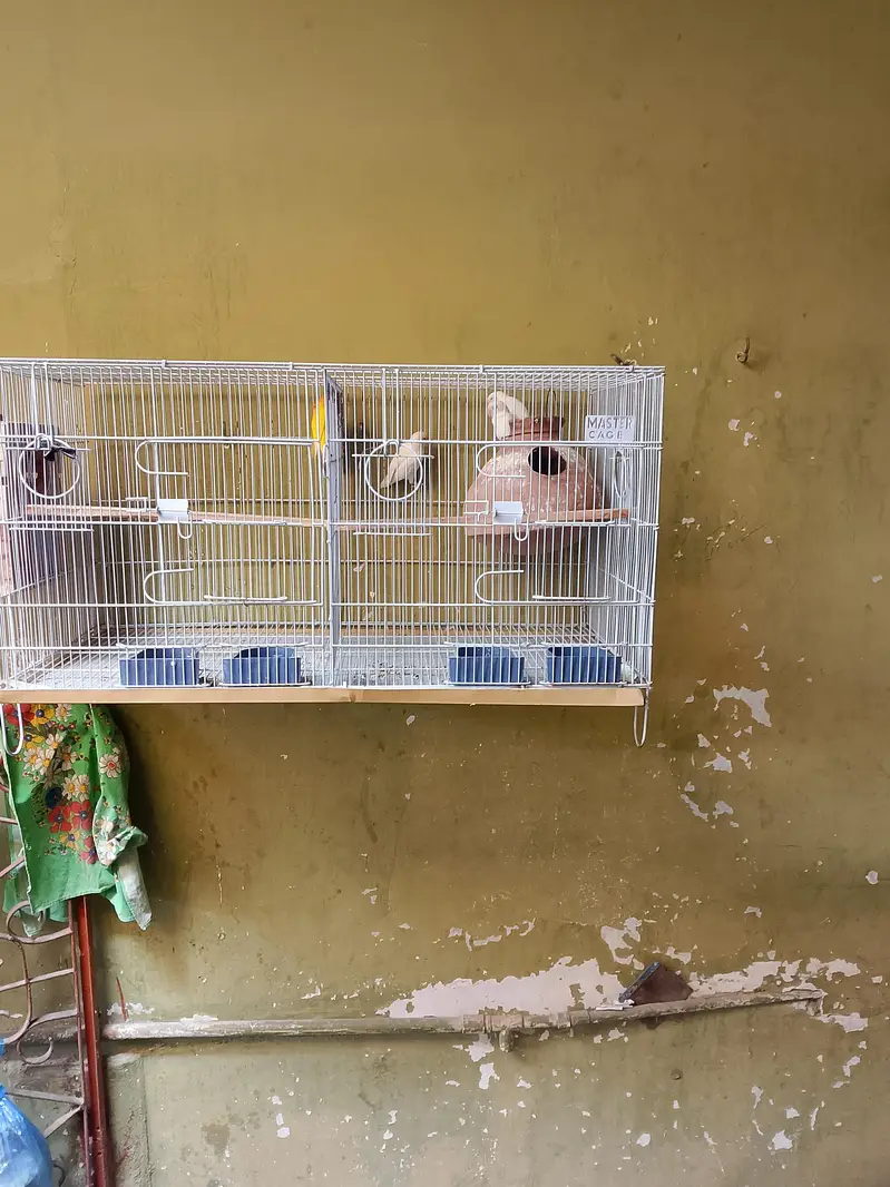 only cage for sale — photo 2